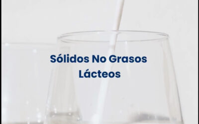Sólidos No Grasos de la Leche: el equilibrio perfecto del helado artesanal