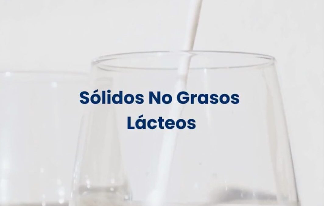 Sólidos No Grasos de la Leche: el equilibrio perfecto del helado artesanal