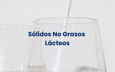 Sólidos No Grasos de la Leche: el equilibrio perfecto del helado artesanal
